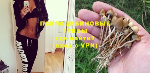 прущая мука Алексеевка