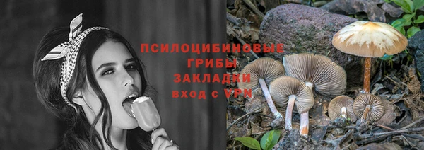 соль курить ск Алзамай