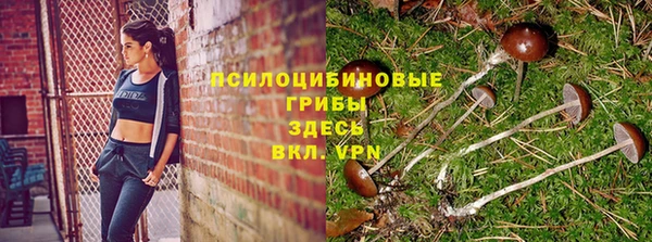 соль курить ск Алзамай