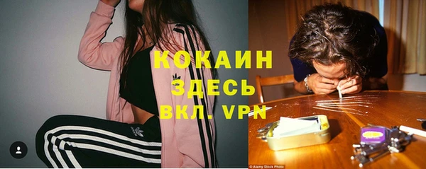 соль курить ск Алзамай